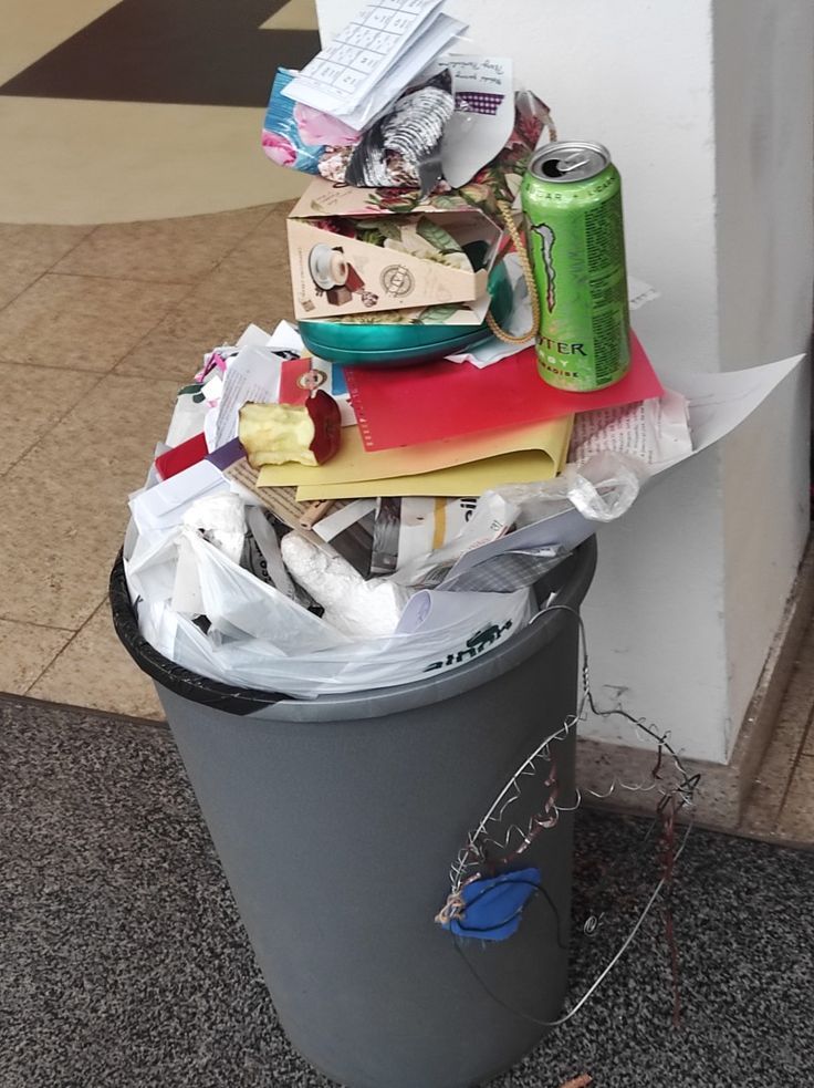 Garbage Bins and Organic Waste