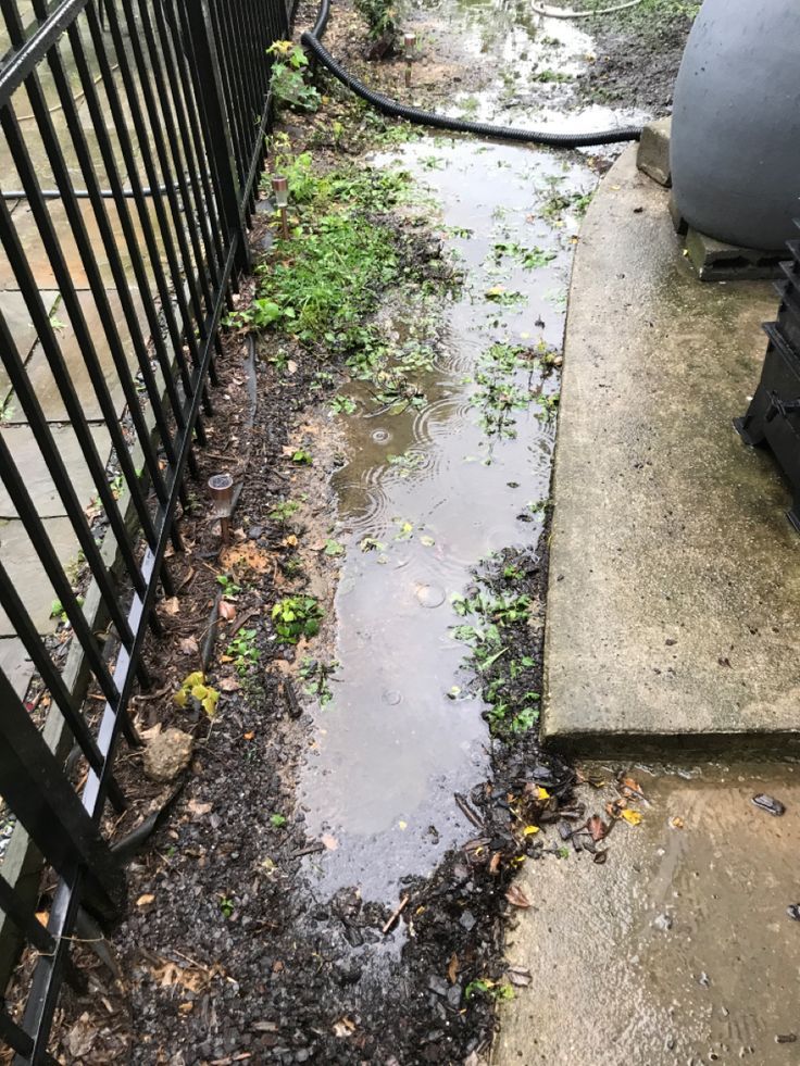 Standing Water and Damp Areas